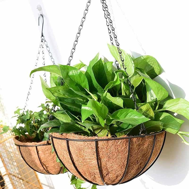 
Elegant Metal Hanging Planter Baskets with Coconut Liner – Versatile Indoor/Outdoor Decor